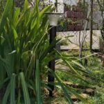 Spike (para Lámpara Solar Led) - Imagen 2