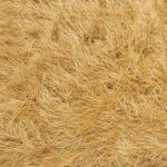 Paja Sintética en Rollo de 20 m2