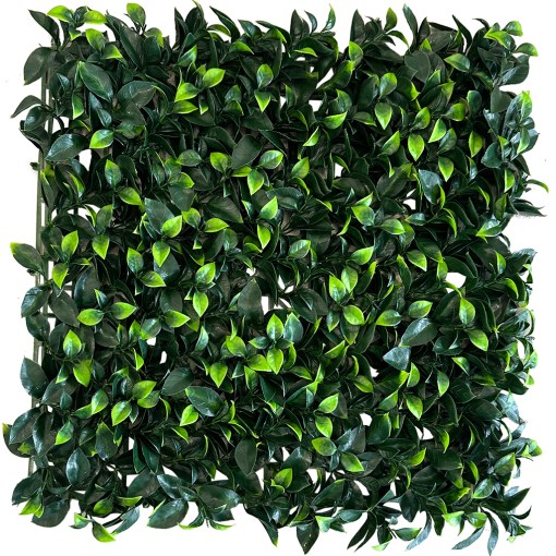 60JVMICAA000002 Jardín Vertical Gardenia MZ188024U - Imagen 1