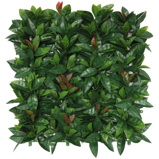 60JVMICAA000007 Jardín Vertical Fotinia MZ188001A - Imagen 1