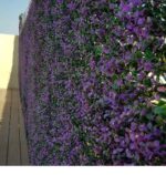 Jardín Vertical Verbena MZ188003G - Imagen 3